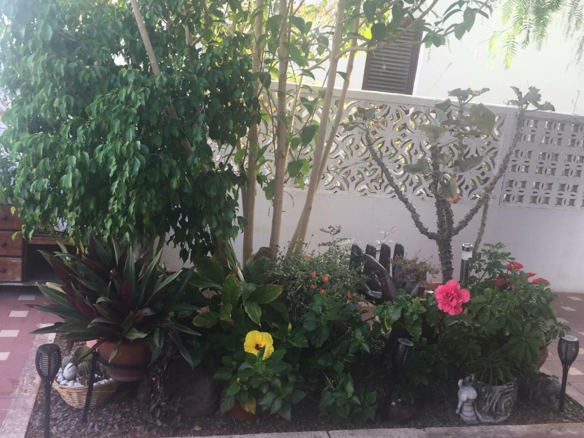 Ferienhaus Heavens Garden House *